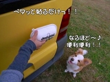 donpac �ɥ�ѥå��λȤ���