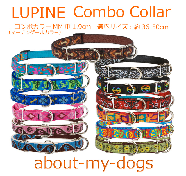 LUPINEコンボカラー1.9巾新柄追加!