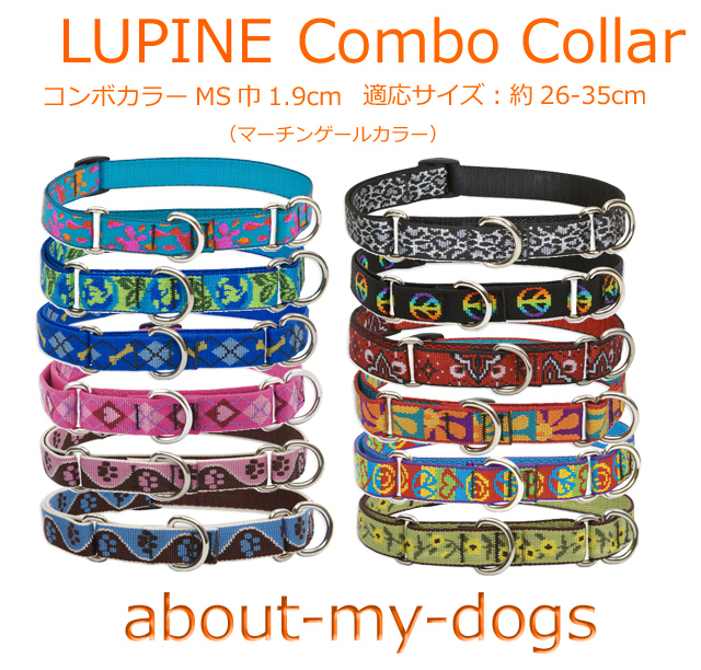 LUPINE中型犬用コンボカラー26-35cm