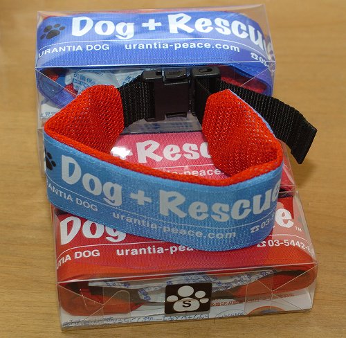 熱中症対策グッズ、保冷剤で首を冷却するDog+Rescueクーリングカラー バックル式Sサイズ