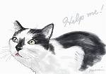 猫「のら」肖像画 byYasusi Isii