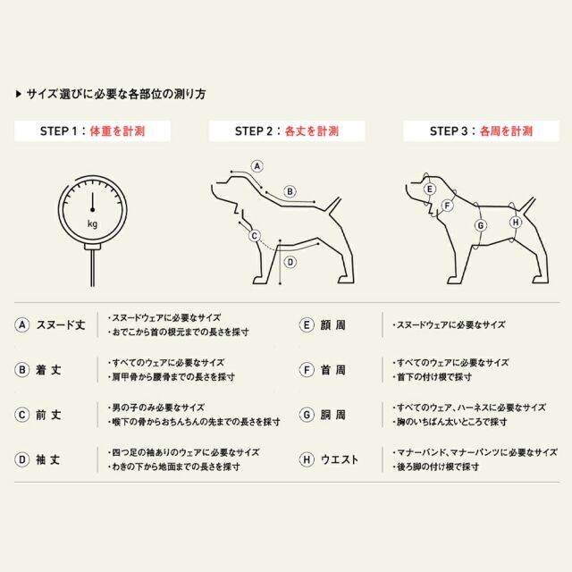 アルファアイコン・サイズに必要な各部位の測り方