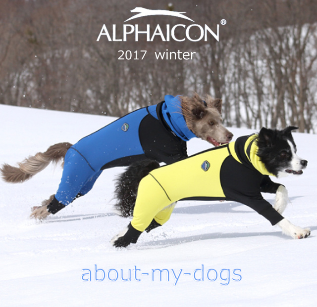 アルファアイコン2017