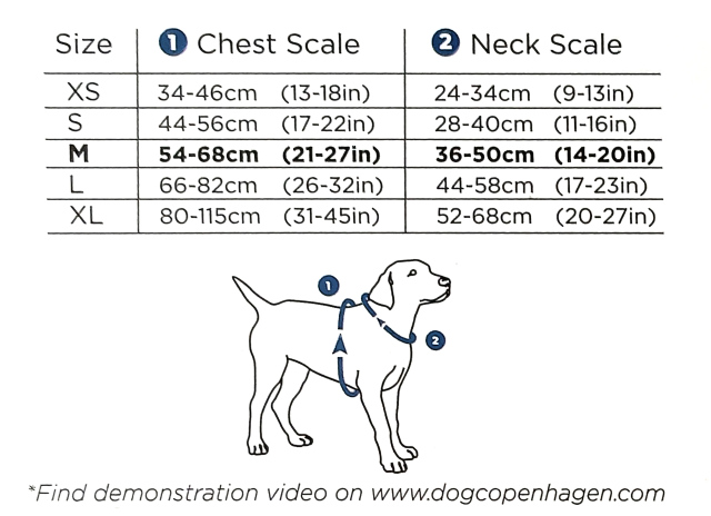 コンフォートエアサイズ表