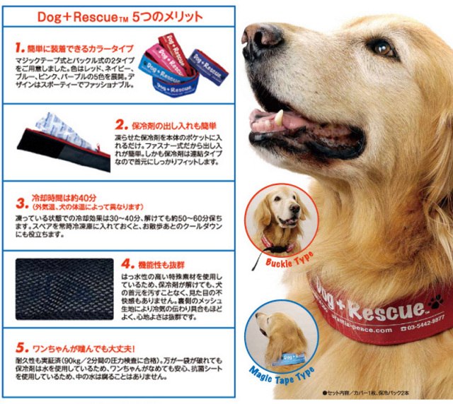 真夏の暑さから愛犬を守る Dog Rescueのクーリングカラー