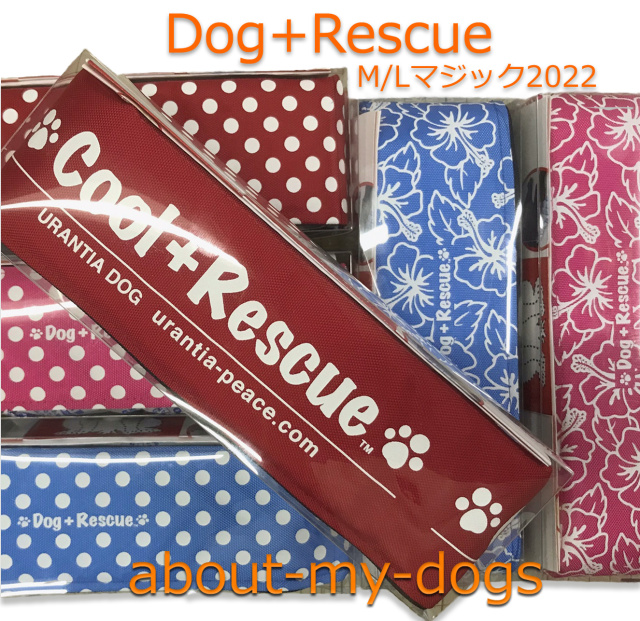 Dog+RescueML2022