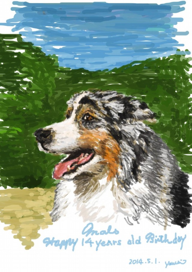 愛犬の肖像画「オーストラリアンシェパード」