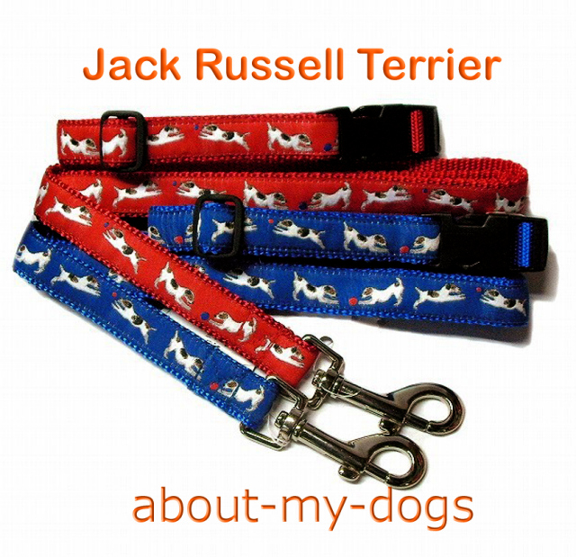 アメリカ製犬種柄リードカラーセット「ジャックラッセルテリア」レッド&ブルー