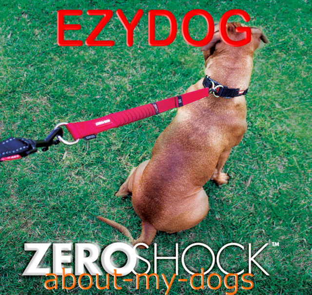 EZYDOG ゼロショック/エクステンション