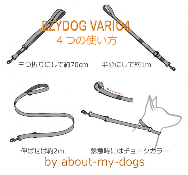 EZYDOG VARIO4 の使い方