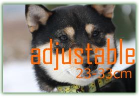 LUPINE 中型犬用アジャスタブルカラー23-33cm