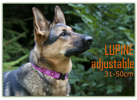 LUPINE 大型犬用アジャスタブルカラー「シェパードの女の子にもピッタリなパピーラブ柄」