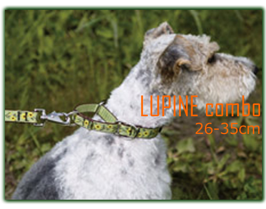 LUPINE中型犬用コンボカラー26-35cm