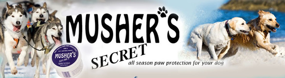 アバウトマイドッグズ」は犬用フリスビー、ディスク用品としつけ