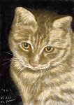 猫「ウニ」肖像画 byYasusi Isii